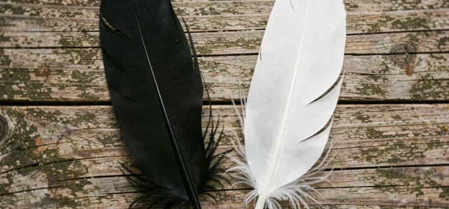 Plume noire et blanche : déchiffrer la signification spirituelle de ce symbole puissant Plume noire et blanche : déchiffrer la signification spirituelle de ce symbole puissant