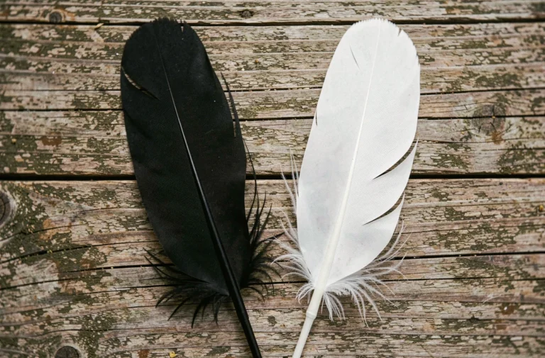 Plume noire et plume blanche posées côte à côte sur une surface en bois vieilli, symbolisant la dualité spirituelle